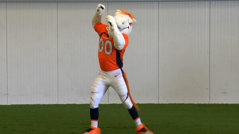 Guess the NFL team by mascot, NFL Team Mascot Challenge, NFL Team Mascot  Quiz