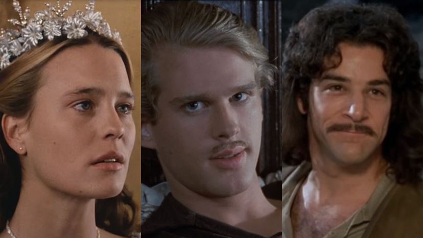 Answer These Yes or No Questions And We'll Guess Which Princess Bride Character You Are
