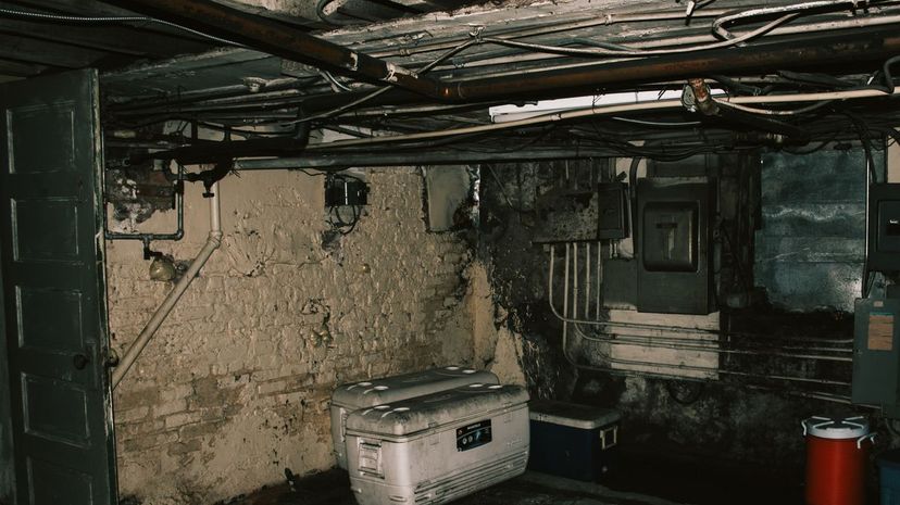 31 basement