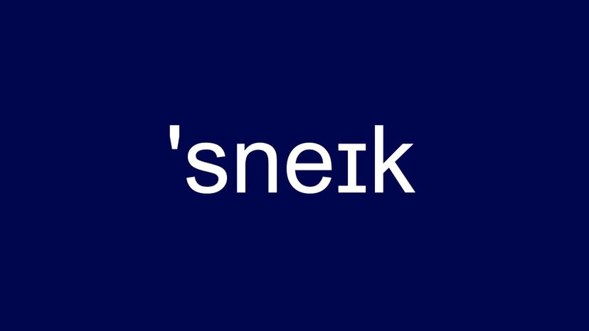 'sneÉªk