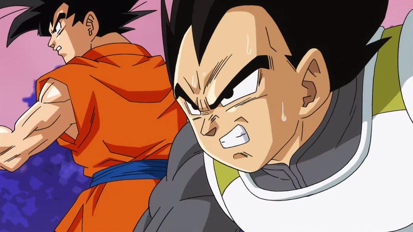 Can We Guess the Dragon Ball Z Character That Matches Your Personality? |  HowStuffWorks