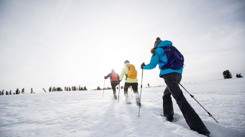 Snow Shoeing