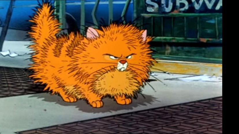 Oliver and Company Cat