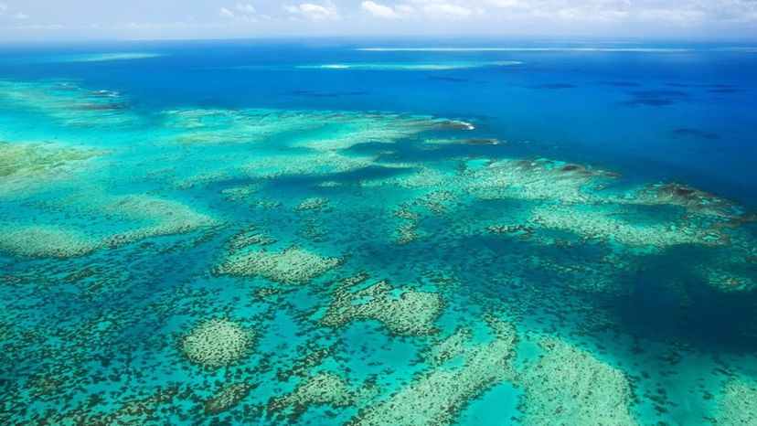 The Great Barrier Reef