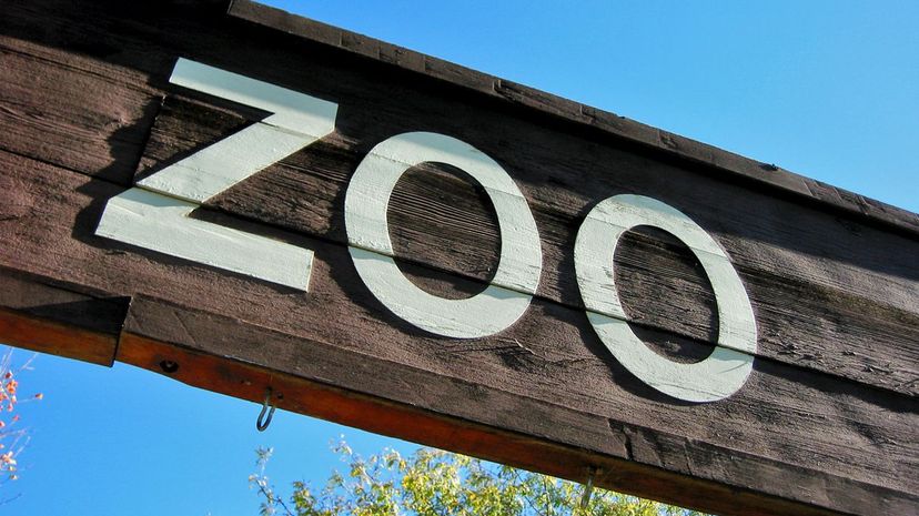 Zoo