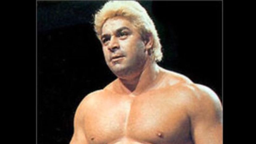 Dino Bravo