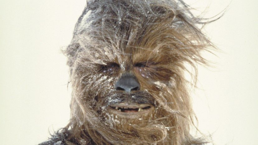 Chewbacca