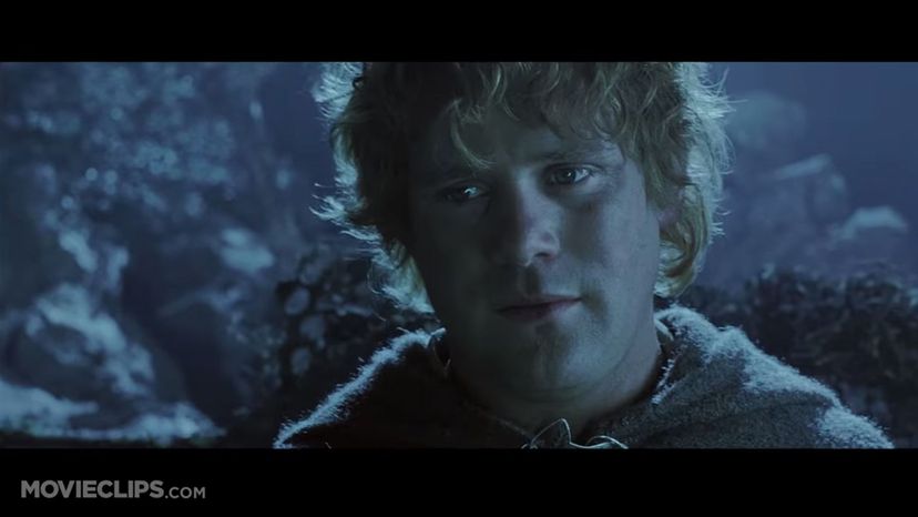 Sean Astin - &gt; Samwise Gangee (Lord of the Rings)
