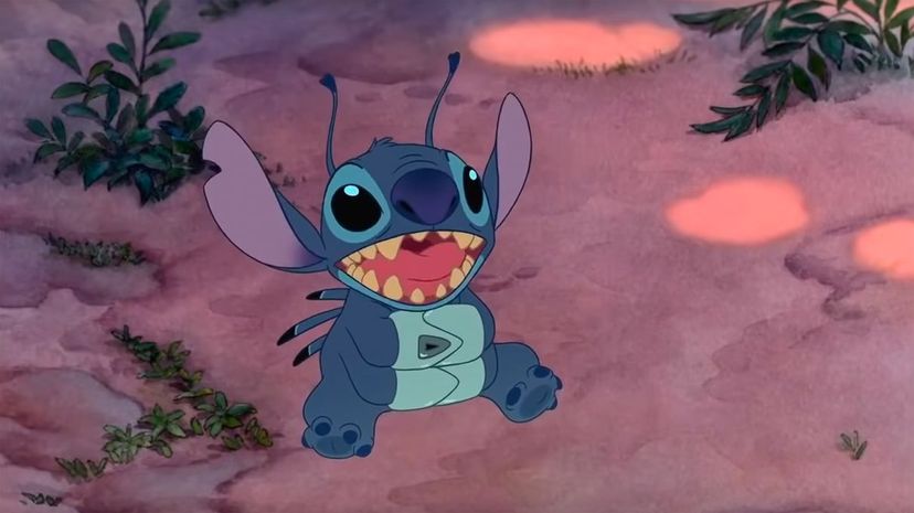 Stitch