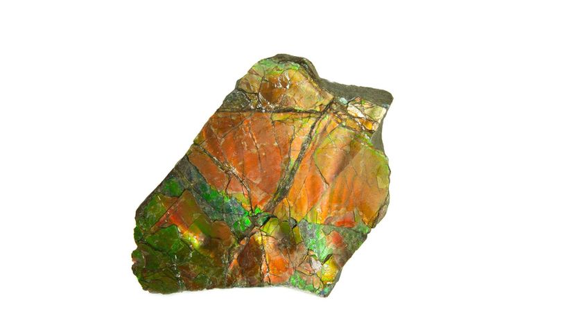 Ammolite