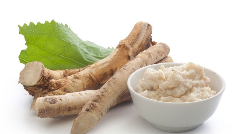 Horseradish