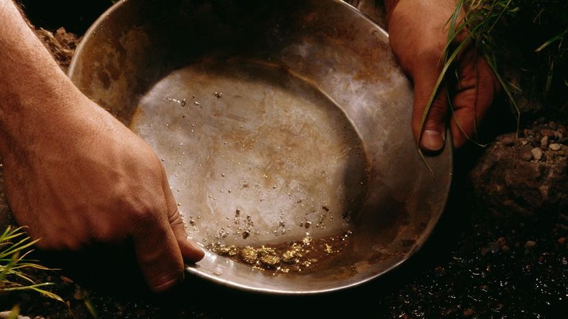 gold pan