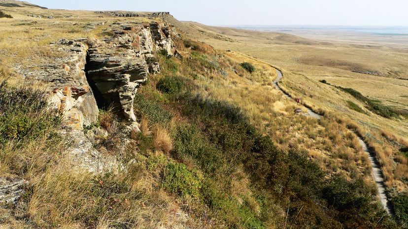 Head-Smashed-In-Buffalo Jump