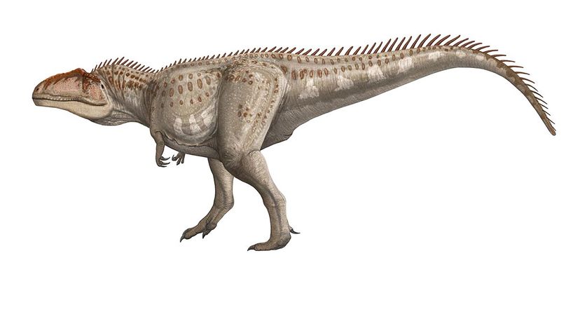 Giganotosaurus