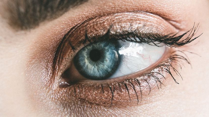 up close blue eyes