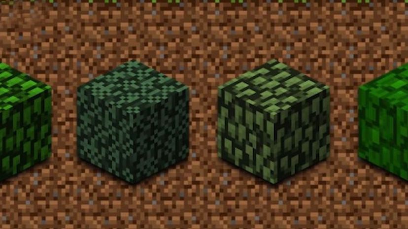 Leaves Minecraft