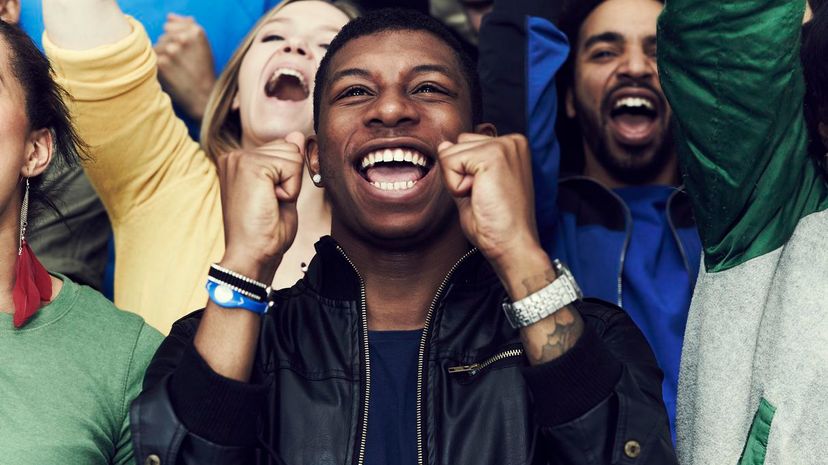 Crowd of Sports Fans