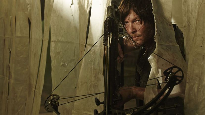 Daryl Dixon