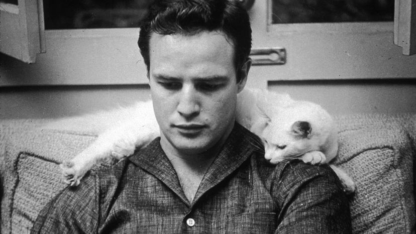 Listen to me Marlon