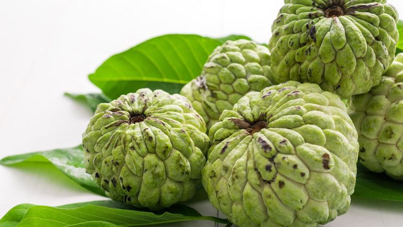 Sugar Apple