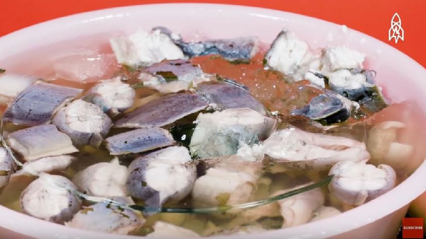 jellied eel