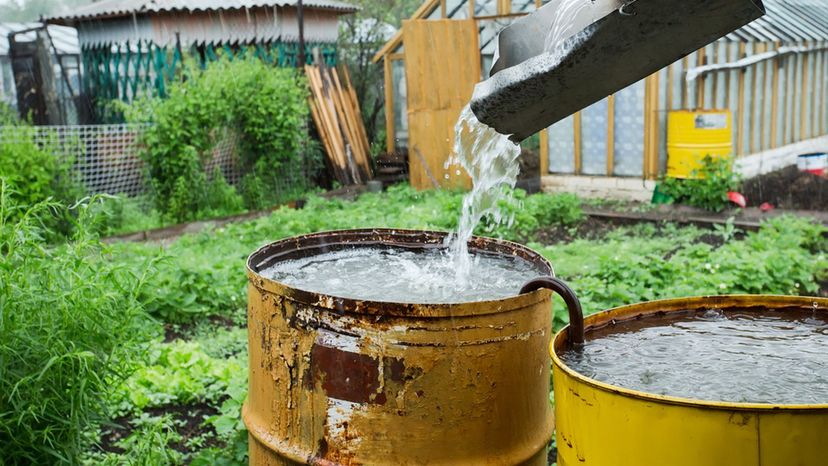 Water Barrel 