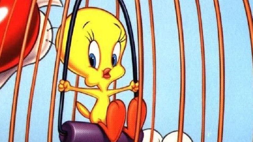 Tweety