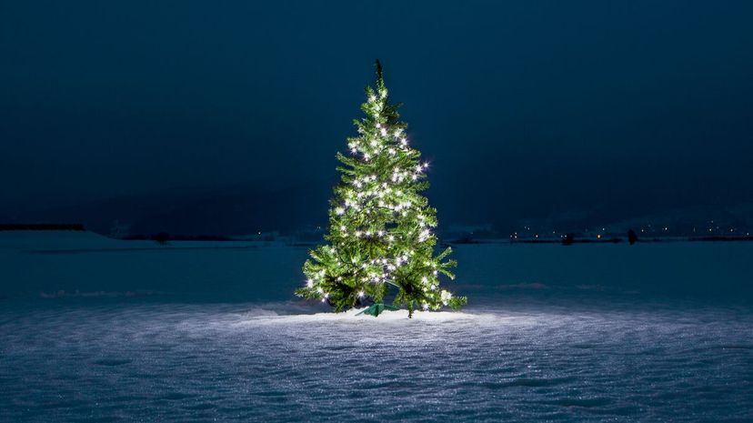 We Wish You A Merry Christmas by Elise Gomez Christmas tree formed by the  words of the song Gold star on top Snow flakes light blue background –