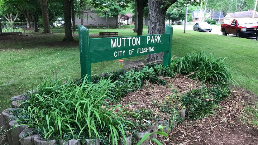 21 _flushing”width=