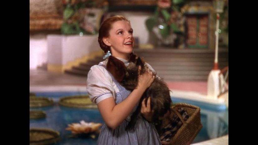 Judy Garland (The Wizard of Oz)