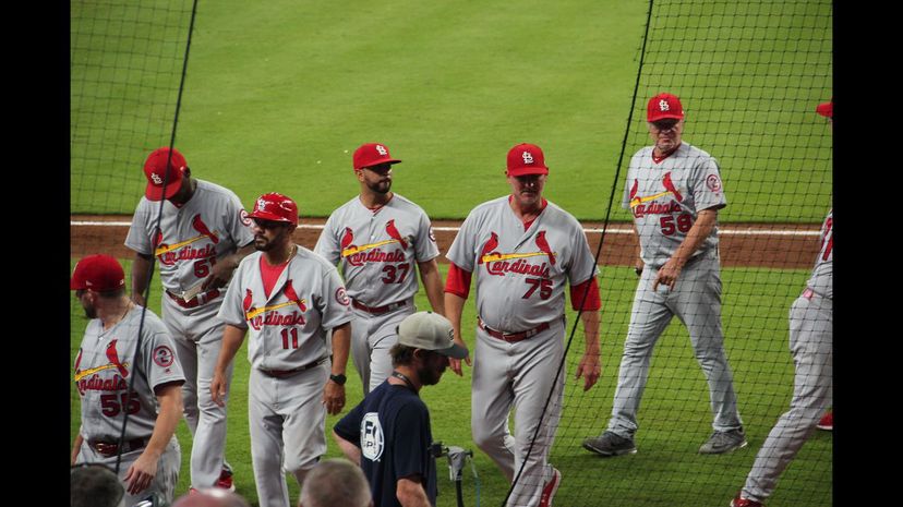 #12 St. Louis Cardinals