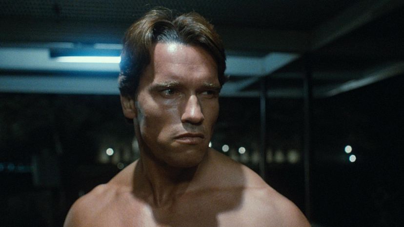 Hasta La Vista, Baby: Arnold Schwarzenegger Movies