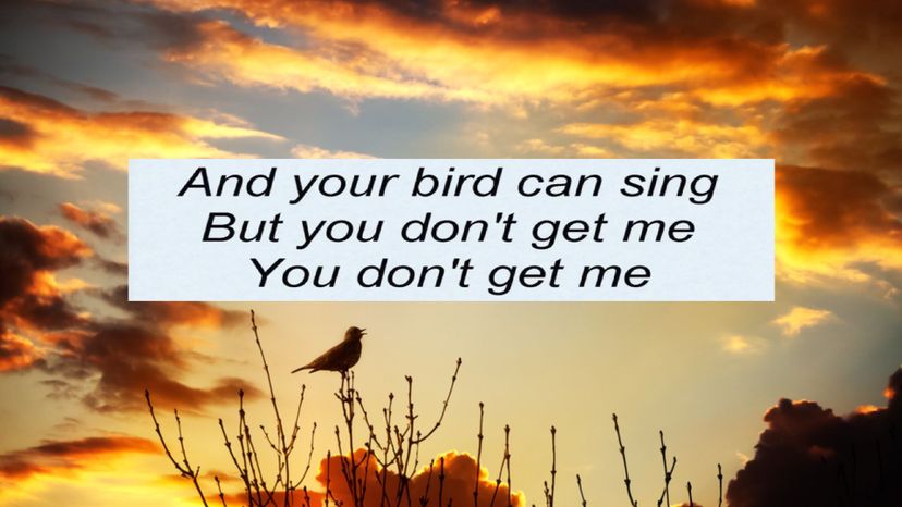 And Your Bird Can Sing