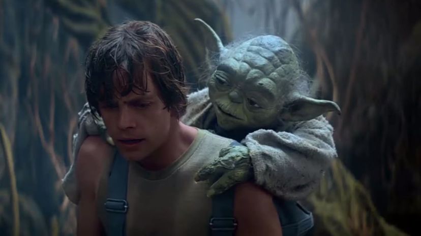 Yoda talking to Luke