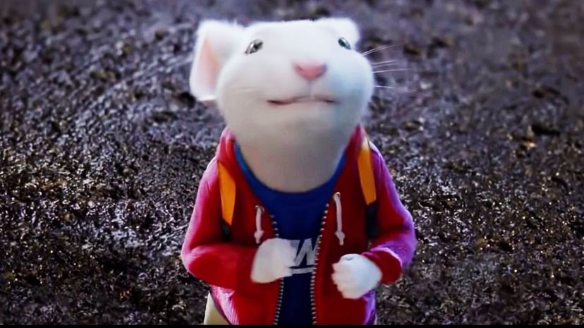 Stuart Little