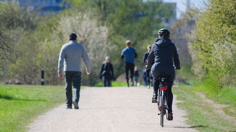 Bicycle in City Park