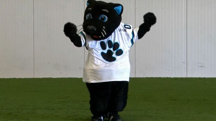 Real World NFL Mascots (Pictures) Quiz - By CDB1986