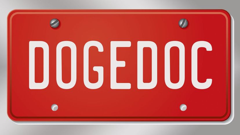 2 - DOGEDOC
