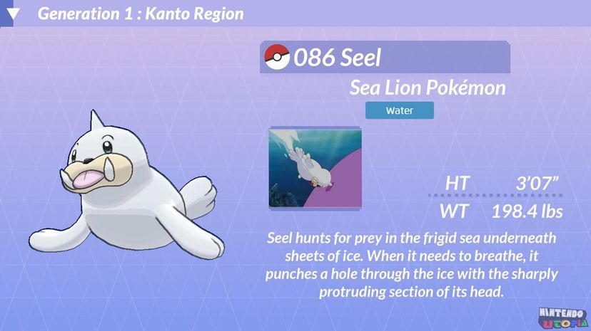 16 seel