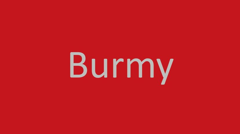 Burmy