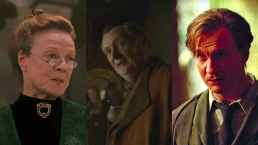 Which Hogwarts Professor Would Call You Their Teacher's Pet?