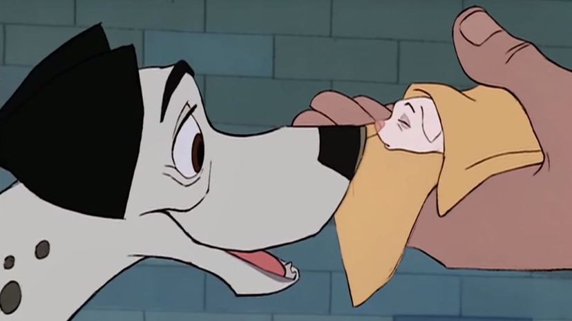 One Hundred and One Dalmatians - The birth of puppies