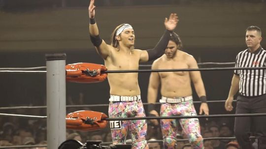 Do You Know the Members of These All-Time Favorite Pro Wrestling Tag Teams?