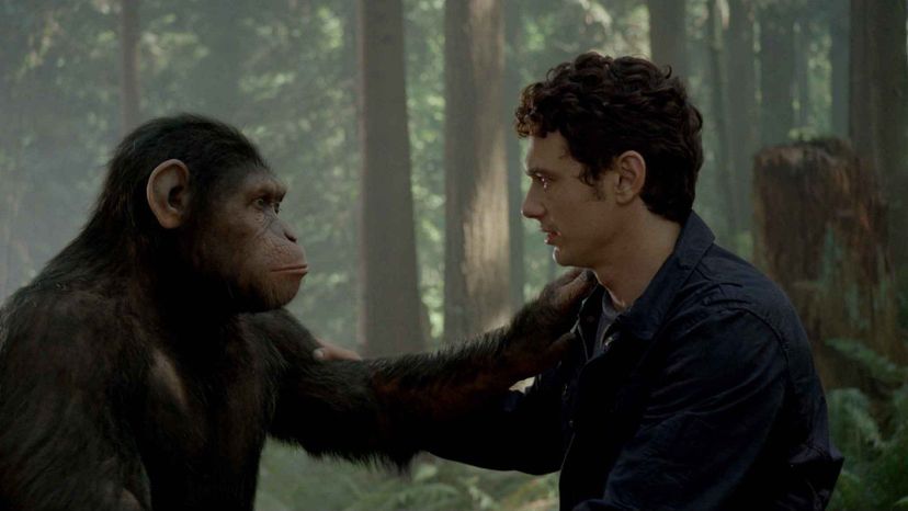 Rise of the Planet of the Apes (2011)_4