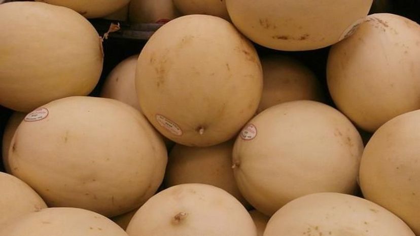 Honeydew Fruit