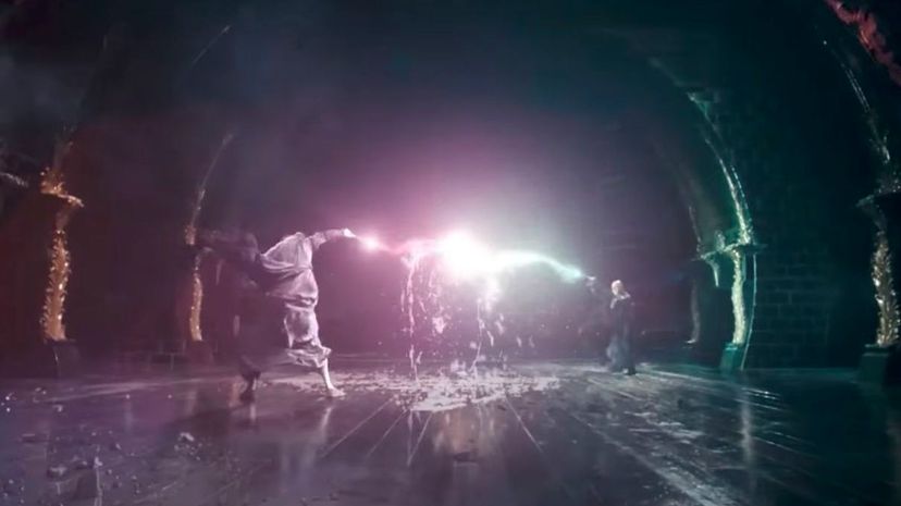 Are You a Death Eater or a Member of the Order of the Phoenix?1