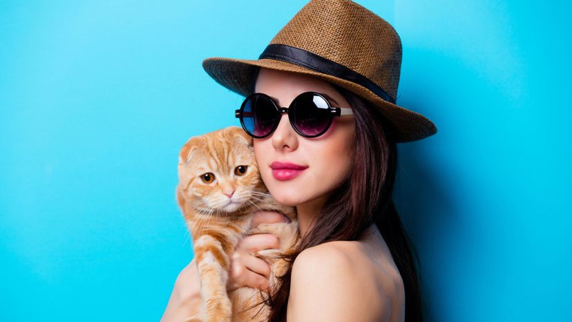 Are You Destined to Be a Crazy Cat Lady?