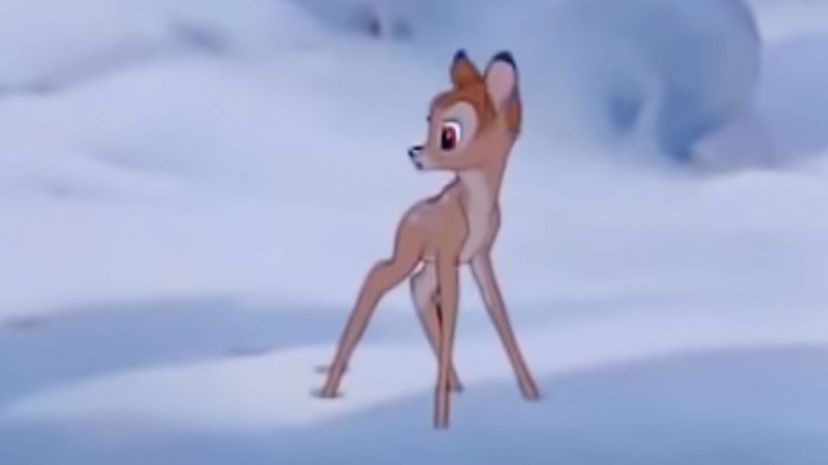 8. bambi