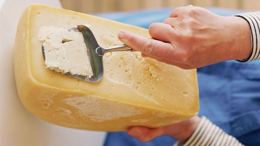 21  hand cheese slicer
