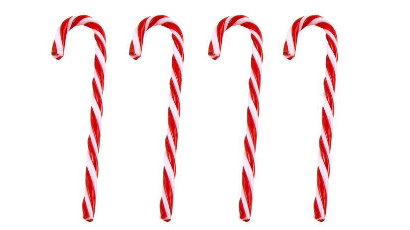 red and white candy canes